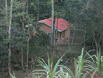 Honduras Nature Resort- Availability